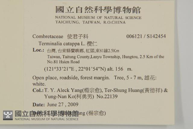 恆春金午時花藏品圖，第2張