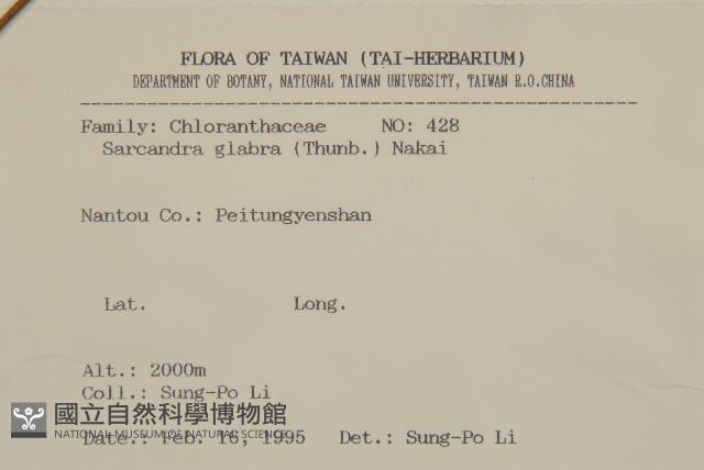 草珊瑚、紅果金粟蘭藏品圖，第2張