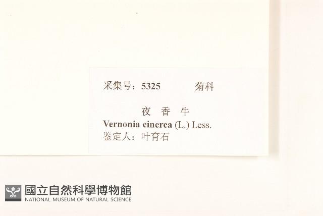 一枝香藏品圖，第3張