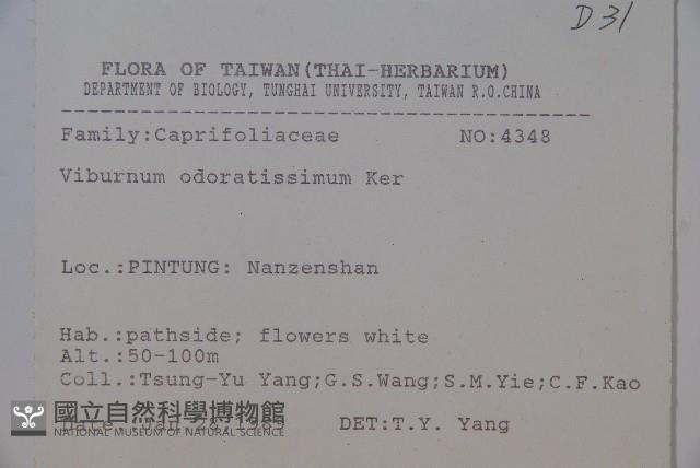 珊瑚樹藏品圖，第2張