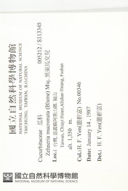 黑果馬交兒藏品圖，第2張