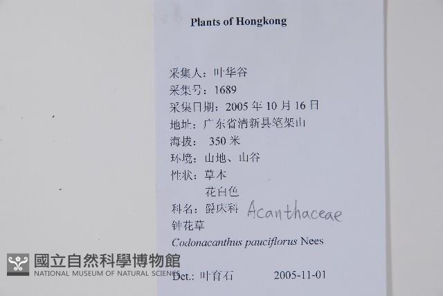 針刺草藏品圖，第2張