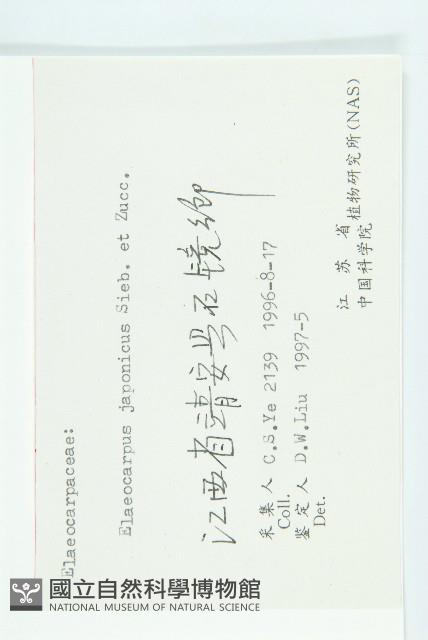 薯豆藏品圖，第3張