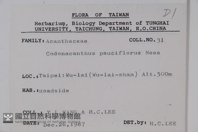 針刺草藏品圖，第2張