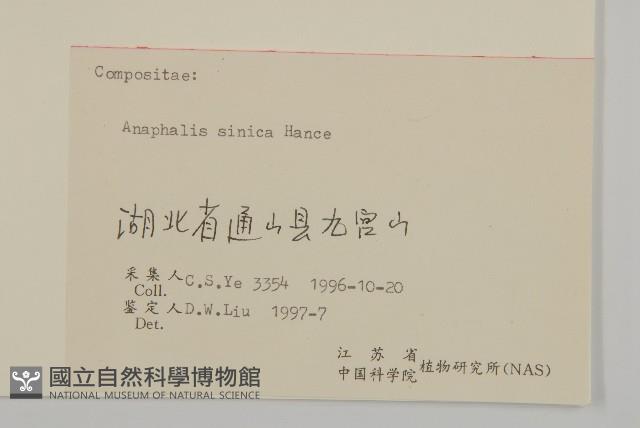 香青藏品圖，第3張