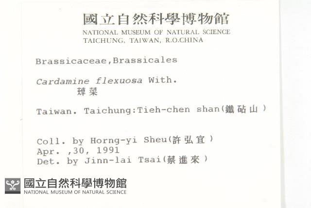 焊菜藏品圖，第2張