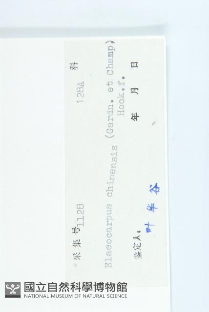 華杜英藏品圖，第3張