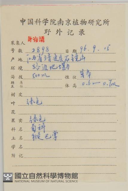 牡蒿藏品圖，第2張