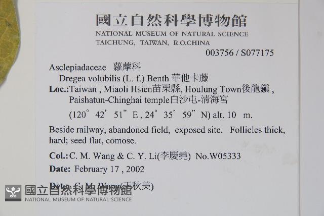 華他卡藤藏品圖，第2張