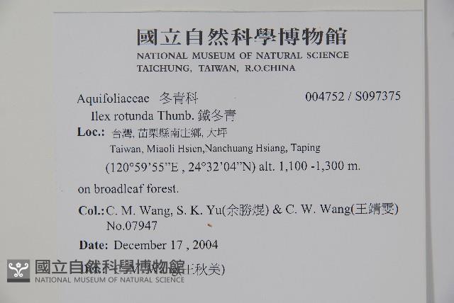 鐵冬青藏品圖，第2張