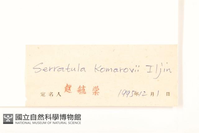 波菜帘子藏品圖，第3張