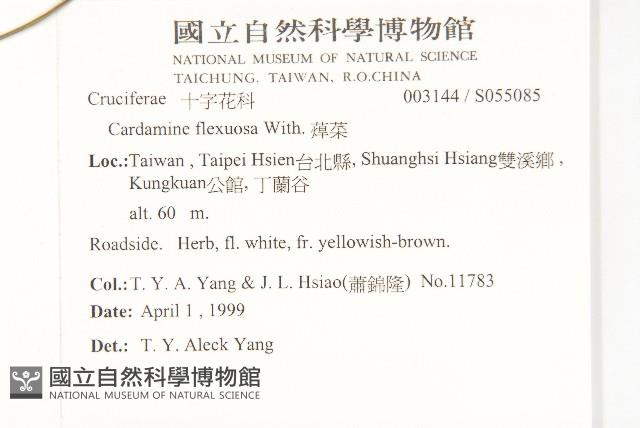 焊菜藏品圖，第2張