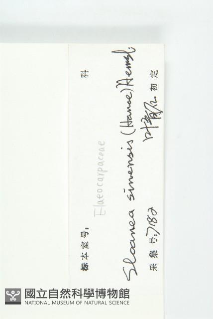 猴歡喜藏品圖，第3張