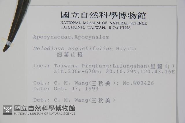 山橙藏品圖，第2張