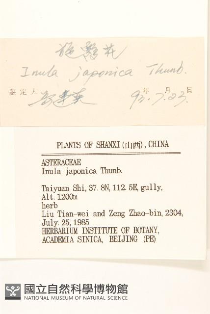 Accession Number:S035985 Collection Image, Figure 3, Total 3 Figures