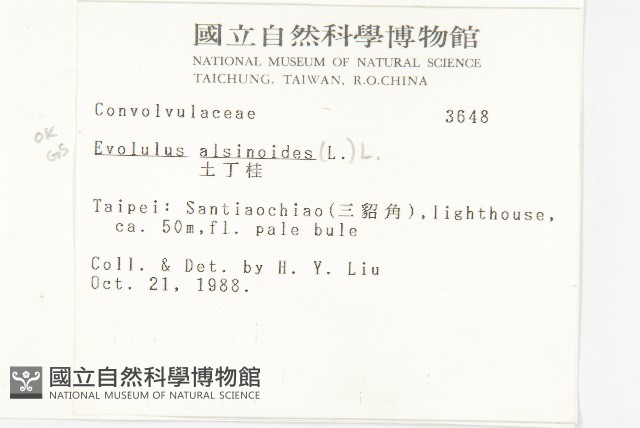 土丁桂藏品圖，第2張