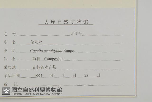 免兒傘藏品圖，第3張