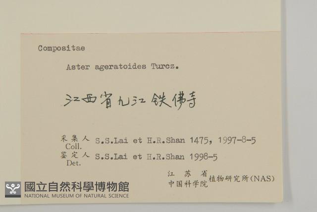 山白蘭藏品圖，第3張