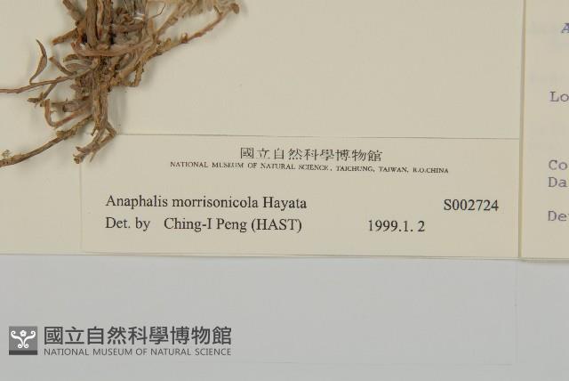 玉山抱莖籟簫藏品圖，第3張