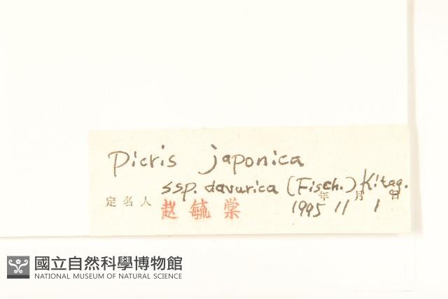 興安毛蓮菜藏品圖，第3張