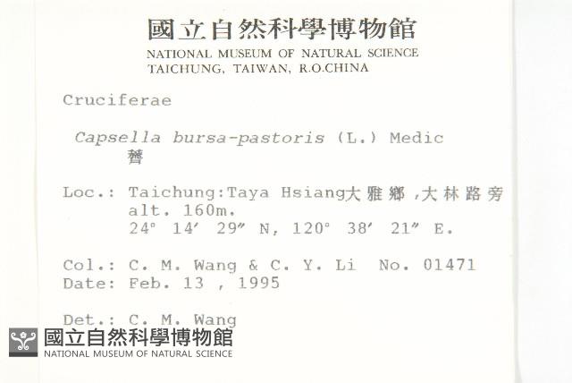 薺藏品圖，第2張