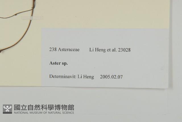 登錄號:S106124藏品圖，第3張