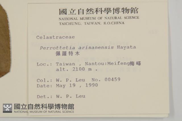 佩羅特木藏品圖，第2張