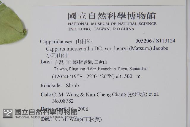 Henry Caper Collection Image, Figure 2, Total 2 Figures