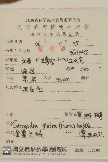 草珊瑚、紅果金粟蘭藏品圖，第2張
