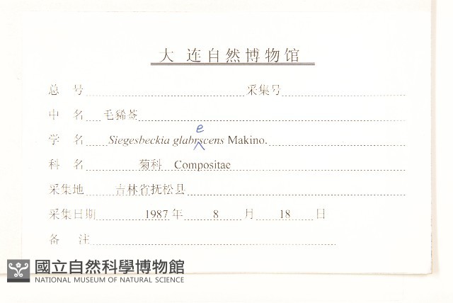 毛梗豨薟藏品圖，第3張