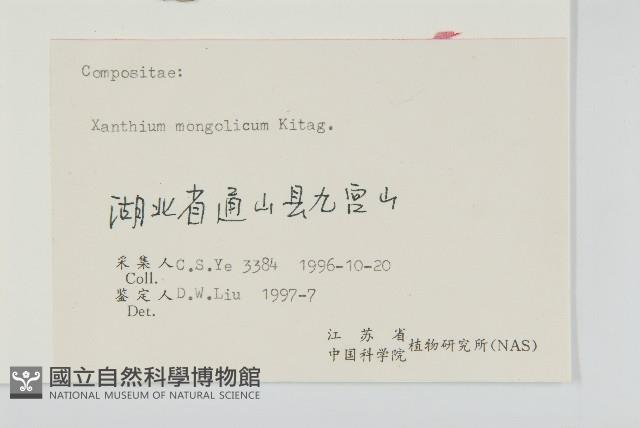 蒼耳藏品圖，第3張