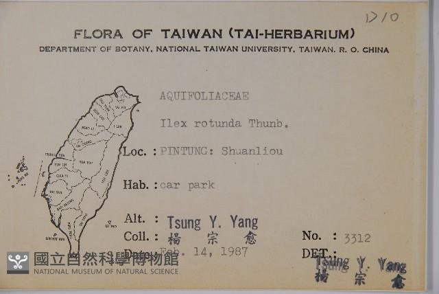 鐵冬青藏品圖，第2張