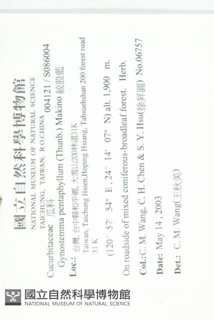 絞股藍藏品圖，第2張