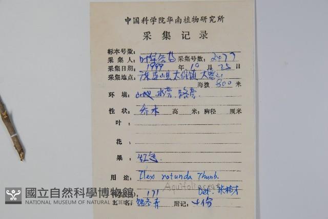 鐵冬青藏品圖，第2張