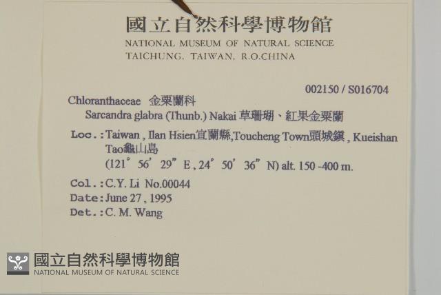 草珊瑚、紅果金粟蘭藏品圖，第2張