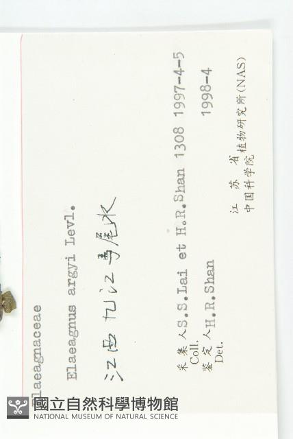 余山羊奶子藏品圖，第3張