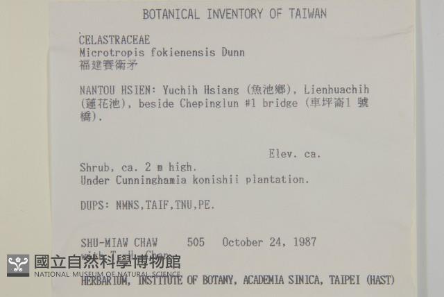 福建賽衛矛、福建假衛矛藏品圖，第2張