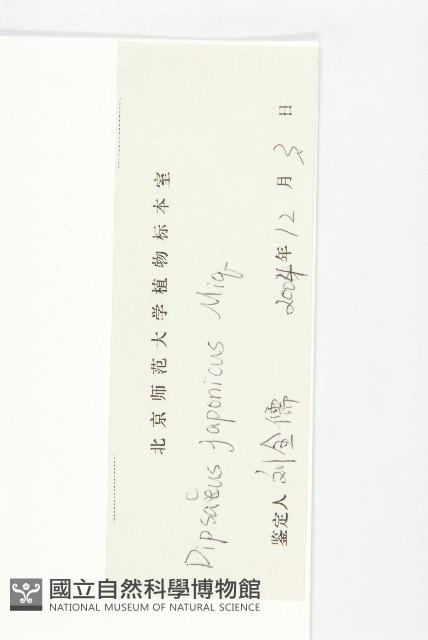 續斷藏品圖，第3張