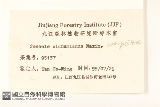蒲兒根藏品圖，第3張