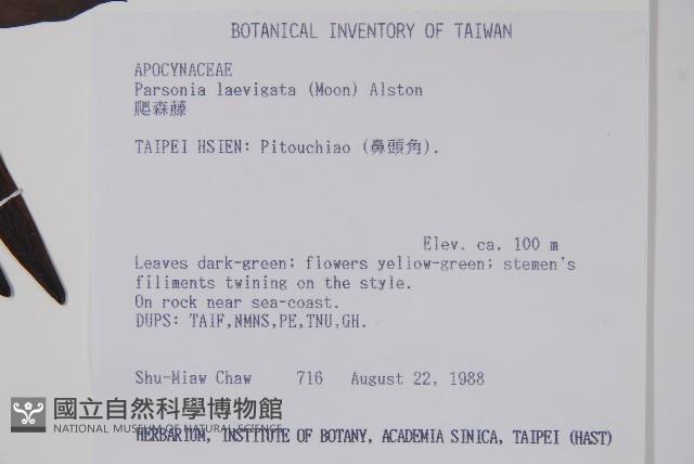 爬森藤藏品圖，第2張