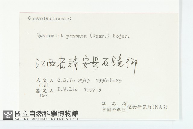 蔦蘿藏品圖，第3張