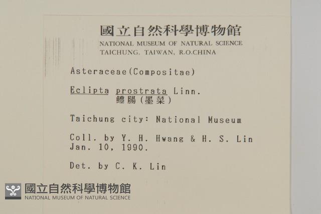 鱧腸藏品圖，第2張