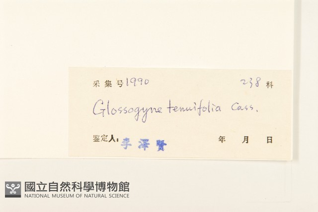 香茹藏品圖，第3張