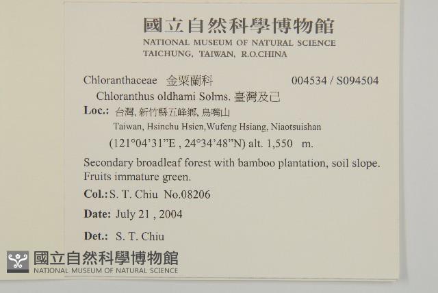 臺灣及己藏品圖，第2張
