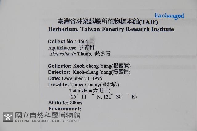 鐵冬青藏品圖，第2張