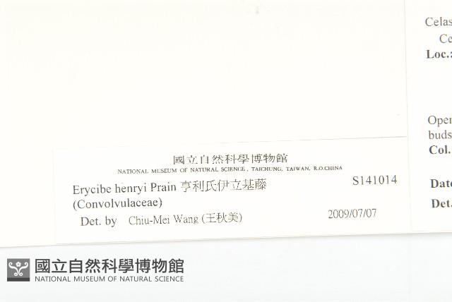 亨利氏伊立基藤藏品圖，第3張