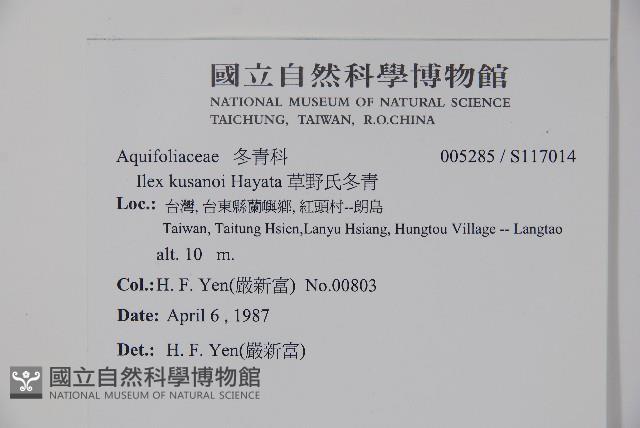 草野氏冬青藏品圖，第2張