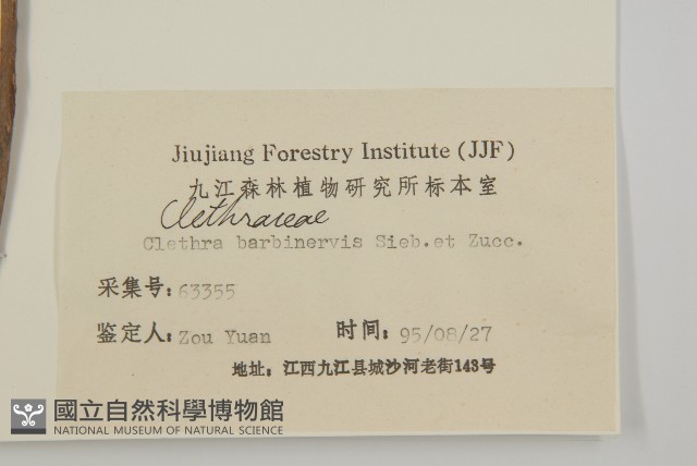 華東山柳藏品圖，第3張