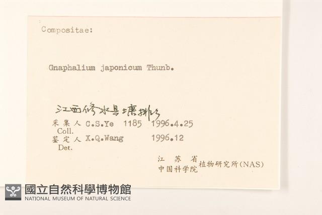 女貞藏品圖，第3張