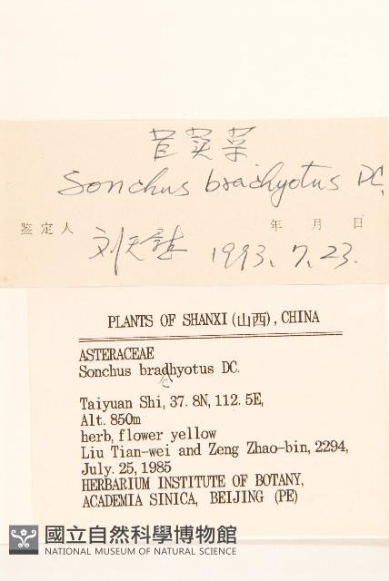 Accession Number:S036214 Collection Image, Figure 3, Total 3 Figures